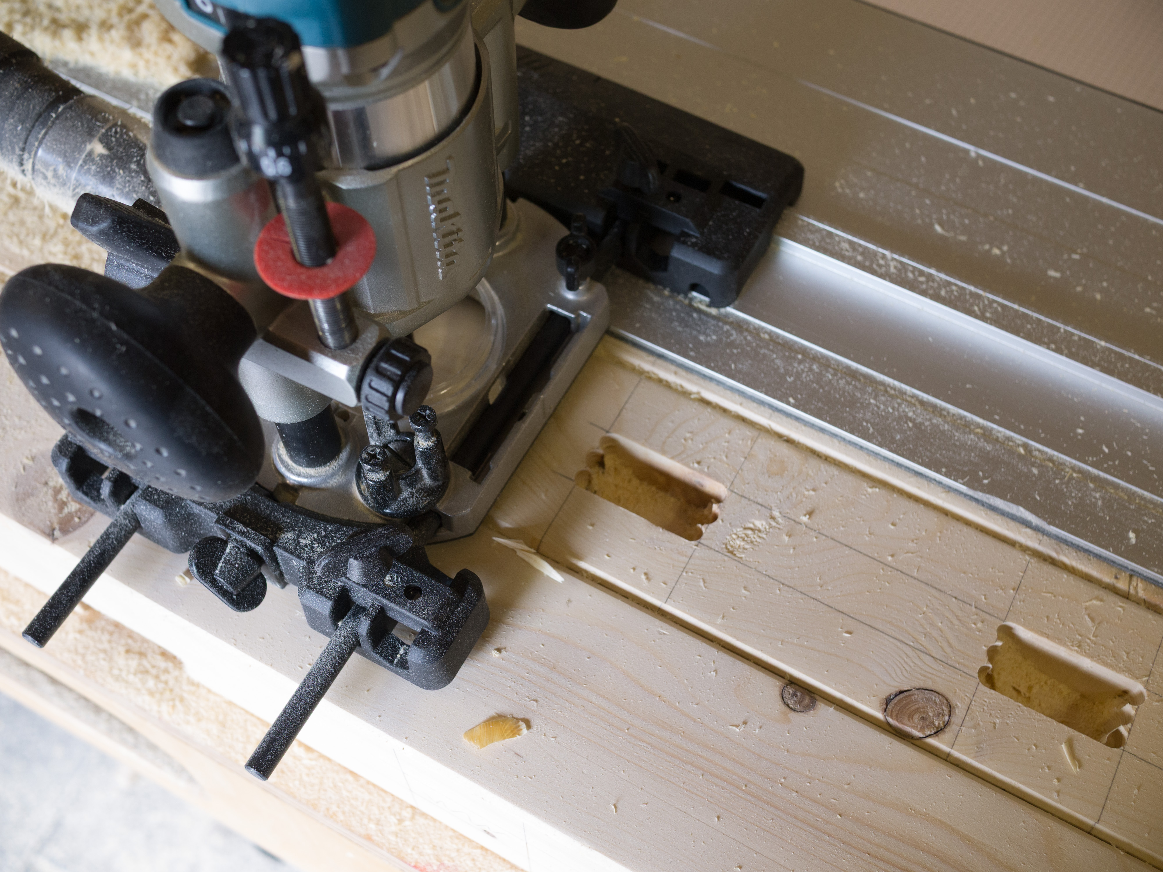 20160511 Gartenzaun 019